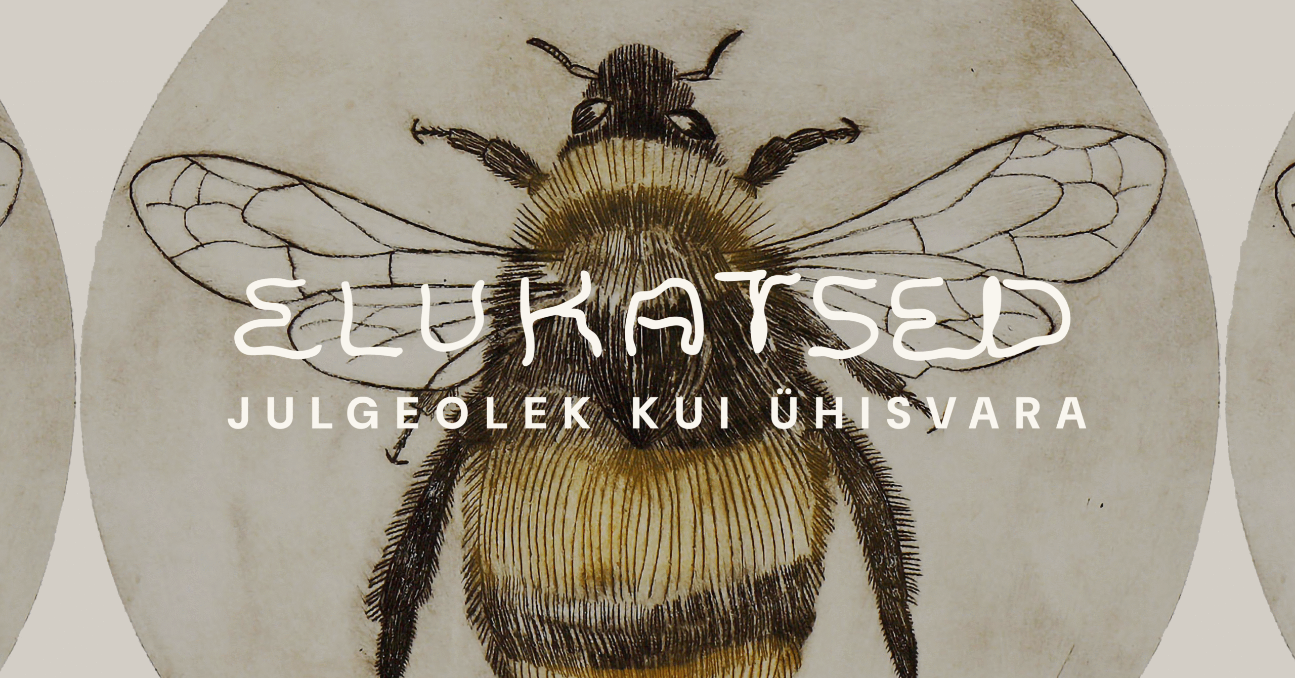Julgeolek kui ühisvara: kokkuvõte