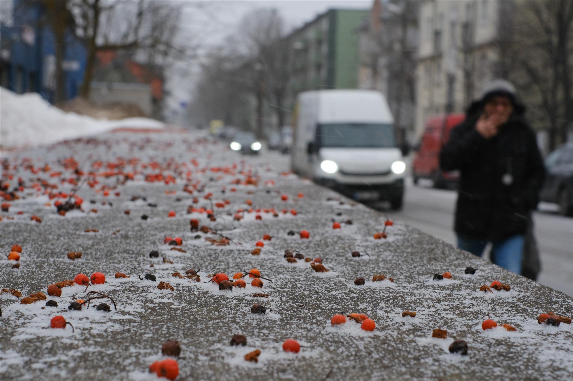 Sirp. Keskkonnakriis ja tähenduslik elu